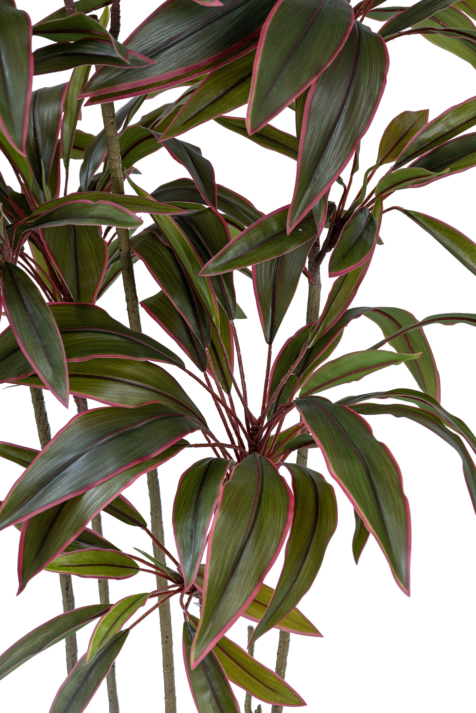 120cm Artificial Cordyline Tree #XYZJ-082-12001#R - Image 2