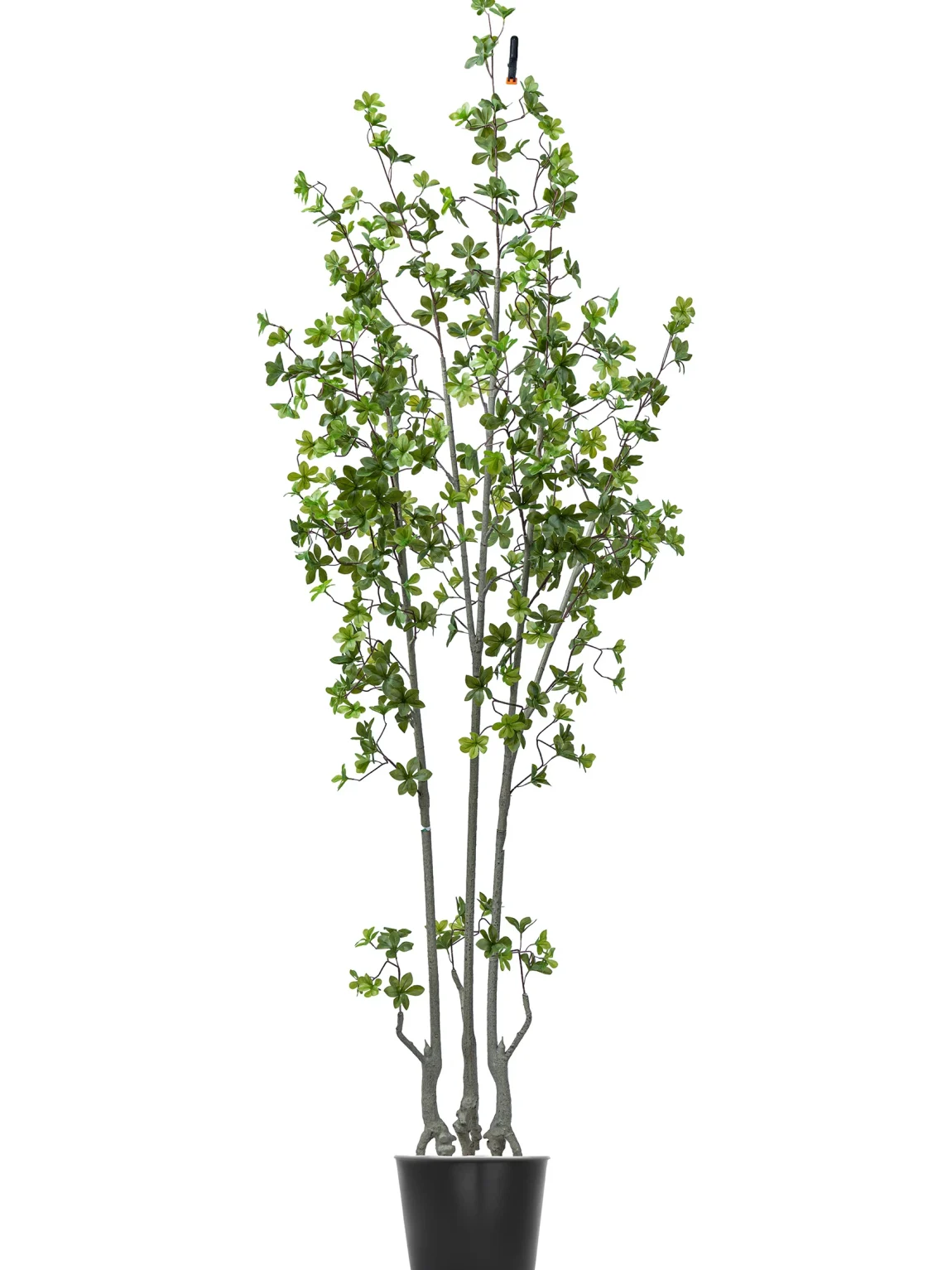 210cm Chlorophytum Tree #DZS-129-21001 #D
