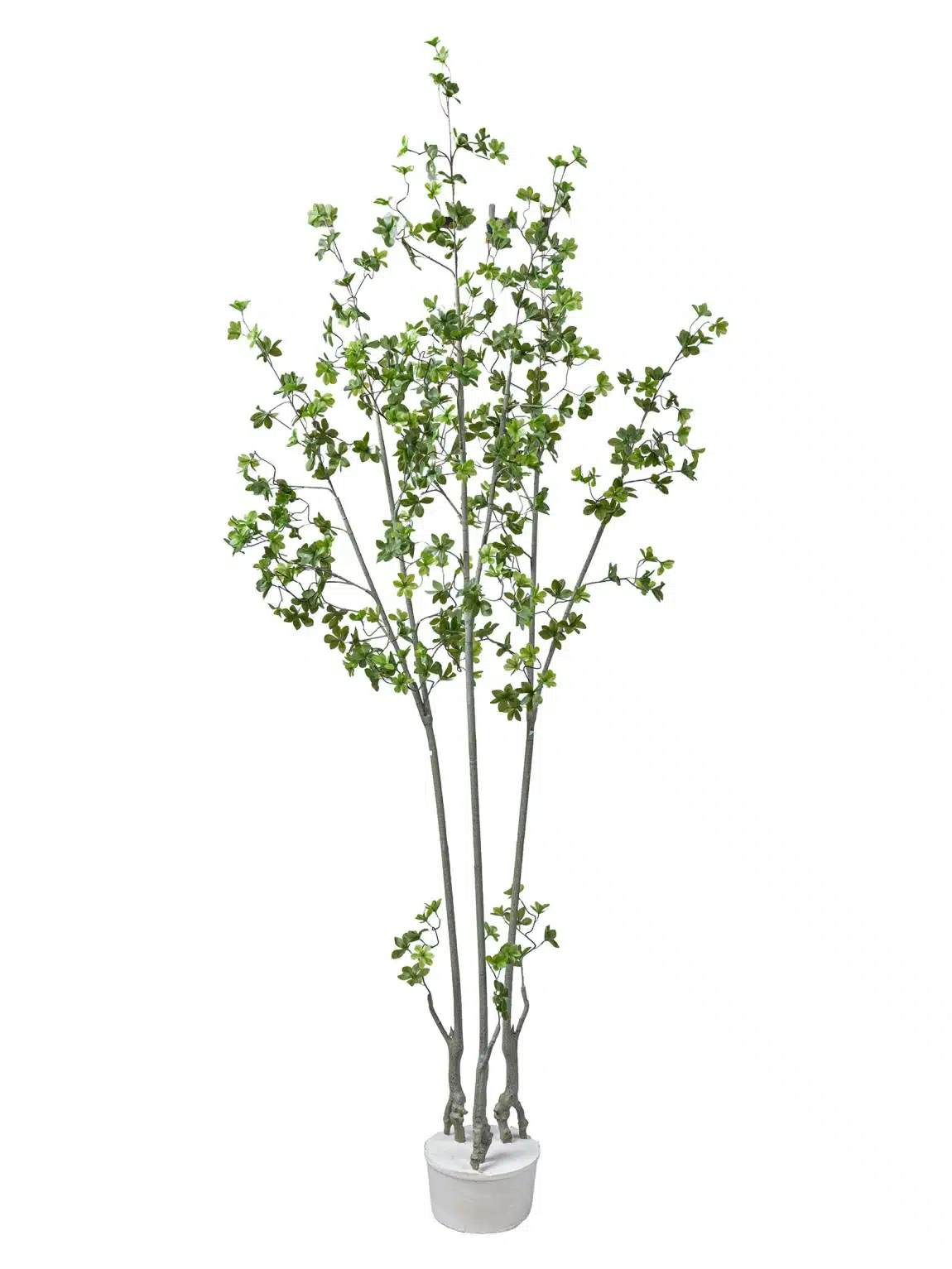 230cm Chlorophytum Tree #DZS-129-23002 #D