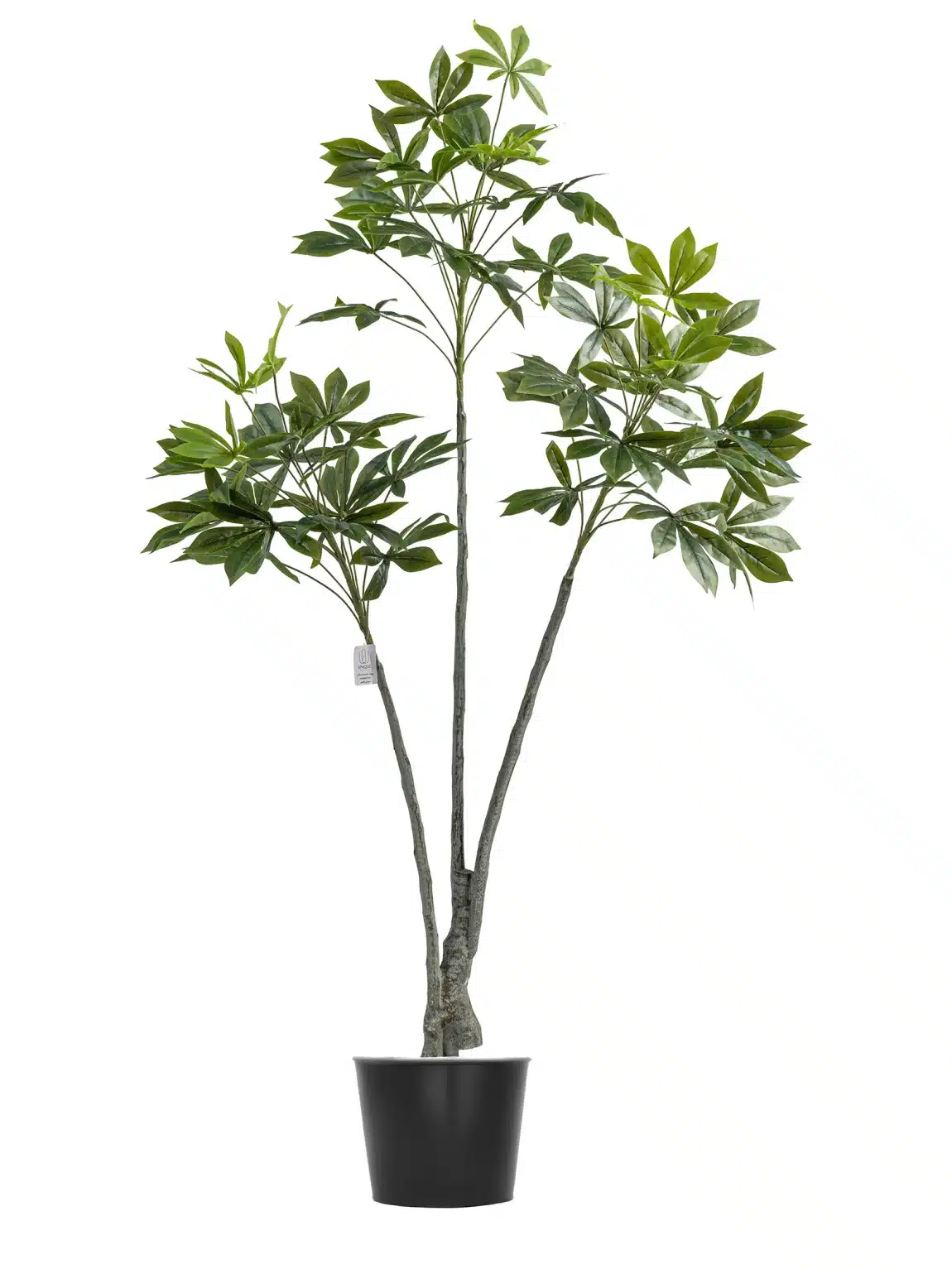 160cm Artificial Cassavan Tree #PUMSY-060-16001