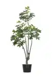 180cm Artificial Cassavan Tree #PUMSY-060-18002