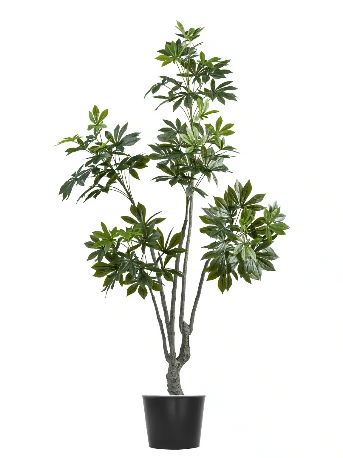 200cm Artificial Cassavan Tree #PUMSY-060-20003