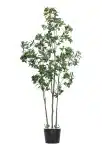 220cm Paris Tree #FLS-131-22001 #D