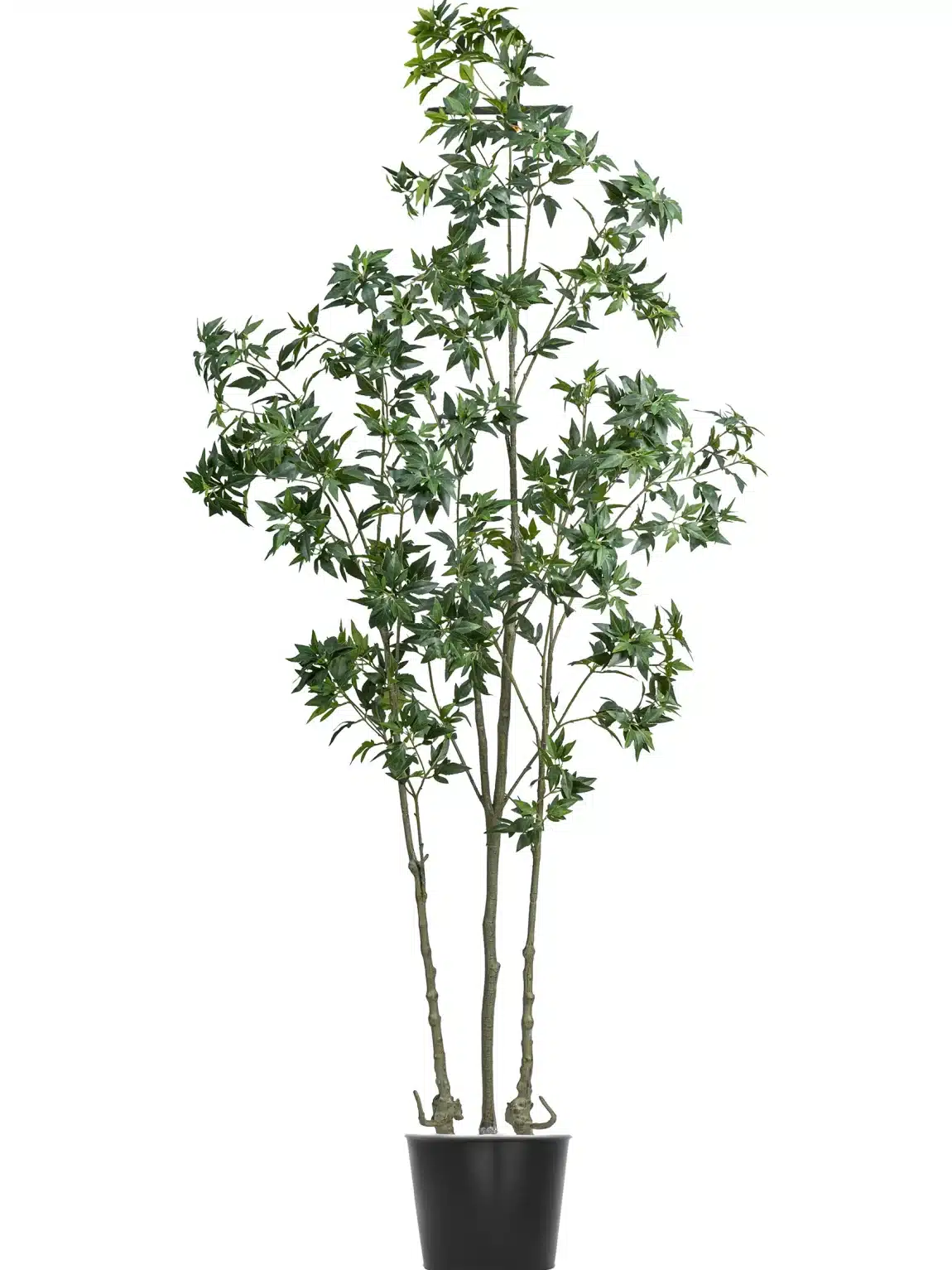 220cm Paris Tree #FLS-131-22001 #D
