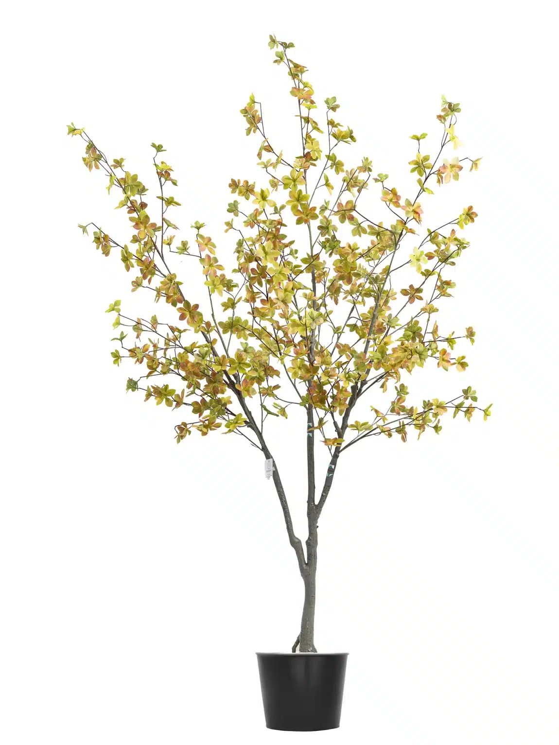 150cm Chlorophytum Tree #DZ-138-15001 #A