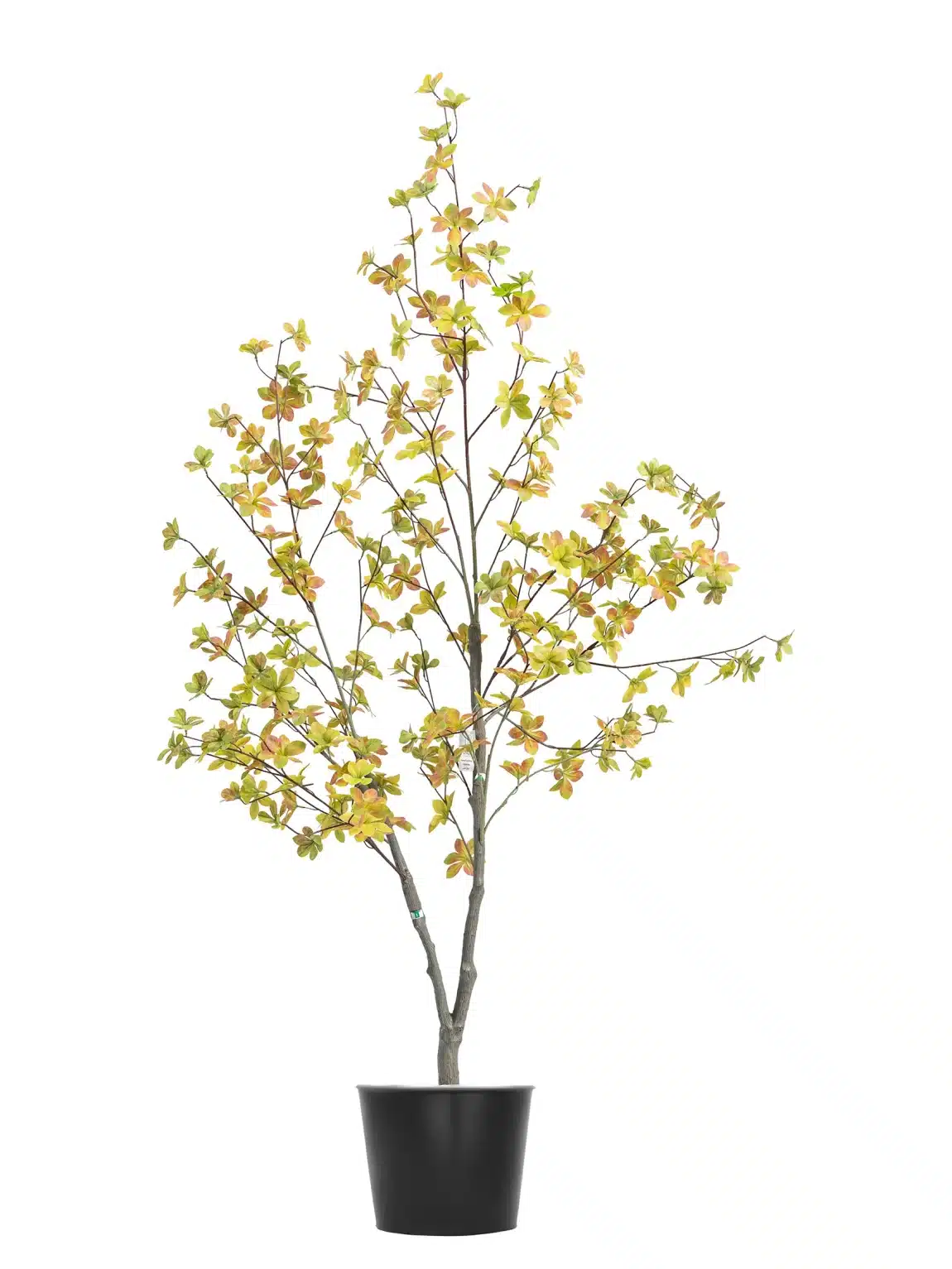 180cm Chlorophytum Tree #DZ-138-18002 #A