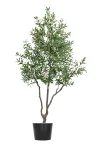 240cm Olive Tree #GLS-24002 #L3