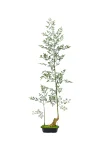 160cm Artificial Bambusa Flexuosa Tree #XLZL-002-16003
