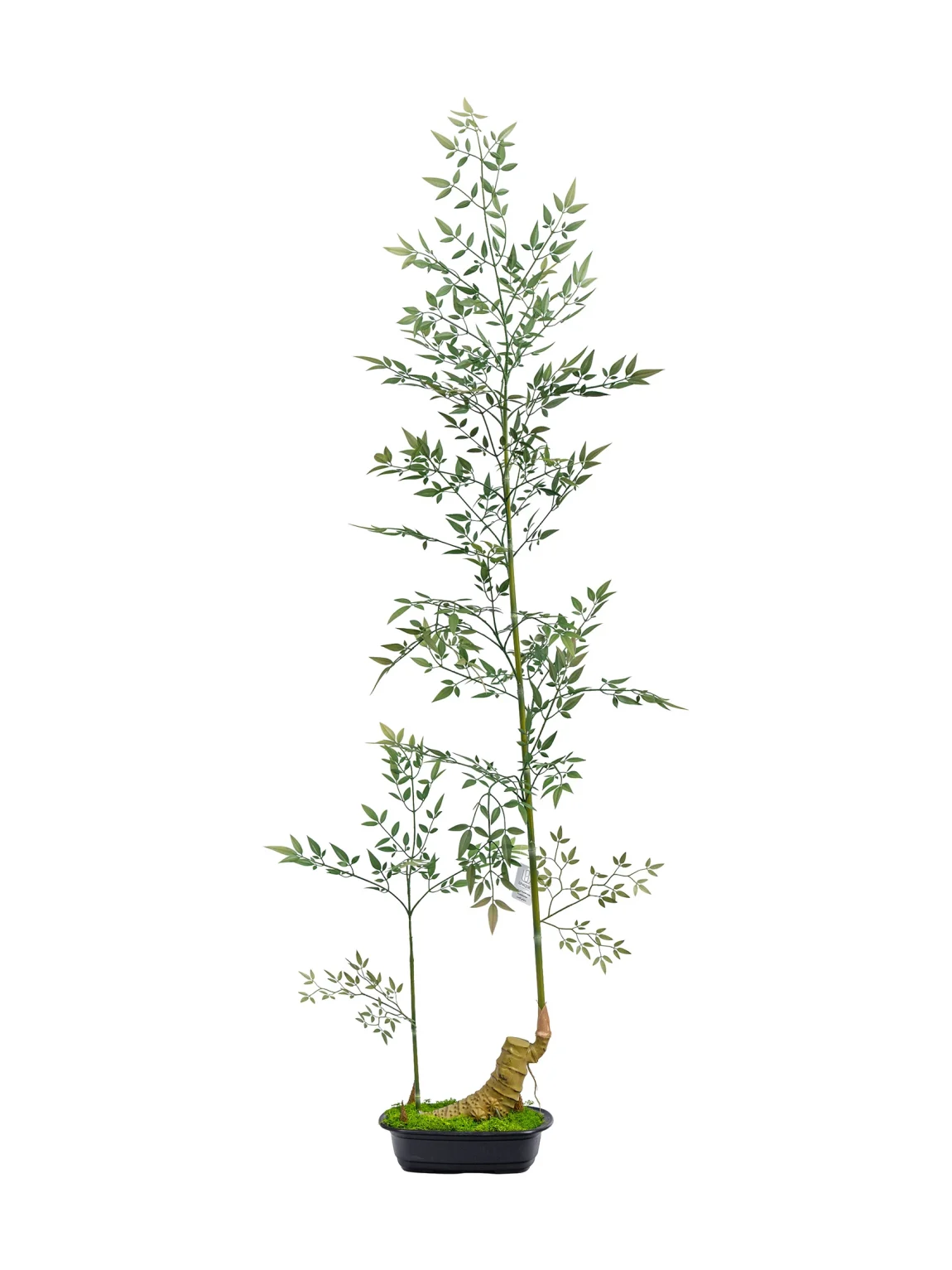 160cm Artificial bambusa flexuosa tree
