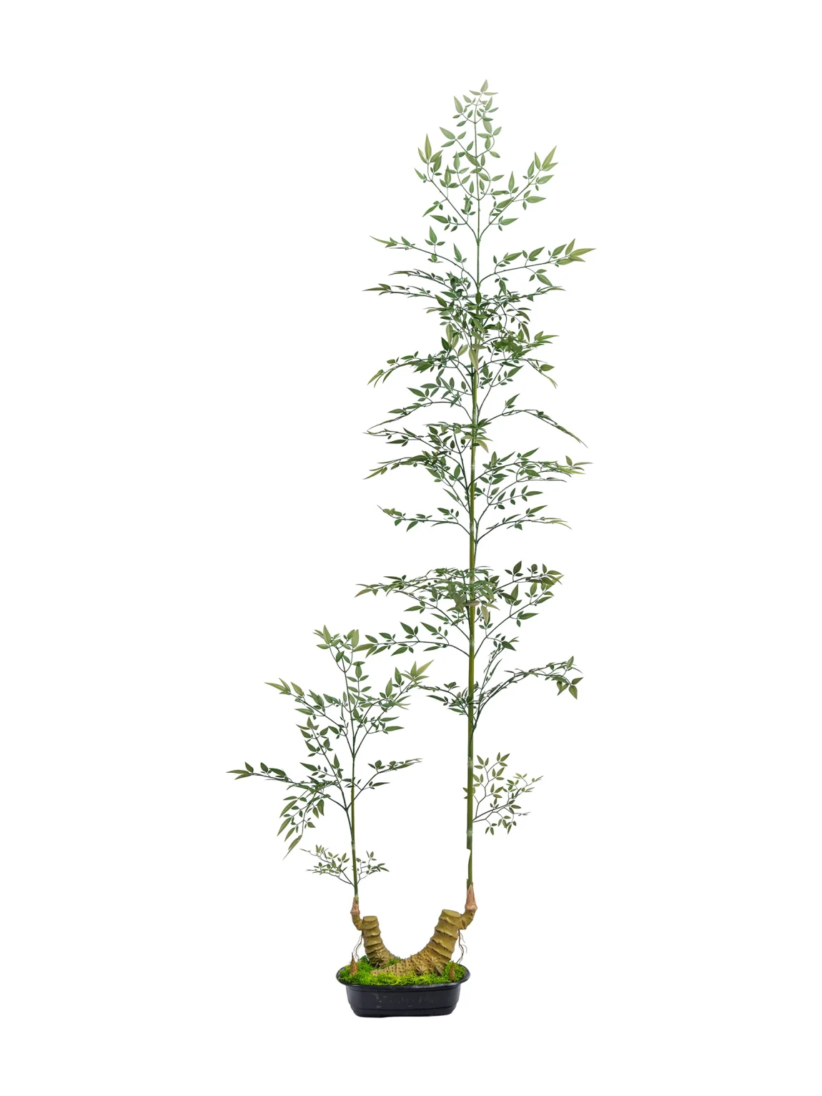 180cm Artificial bambusa flexuosa tree