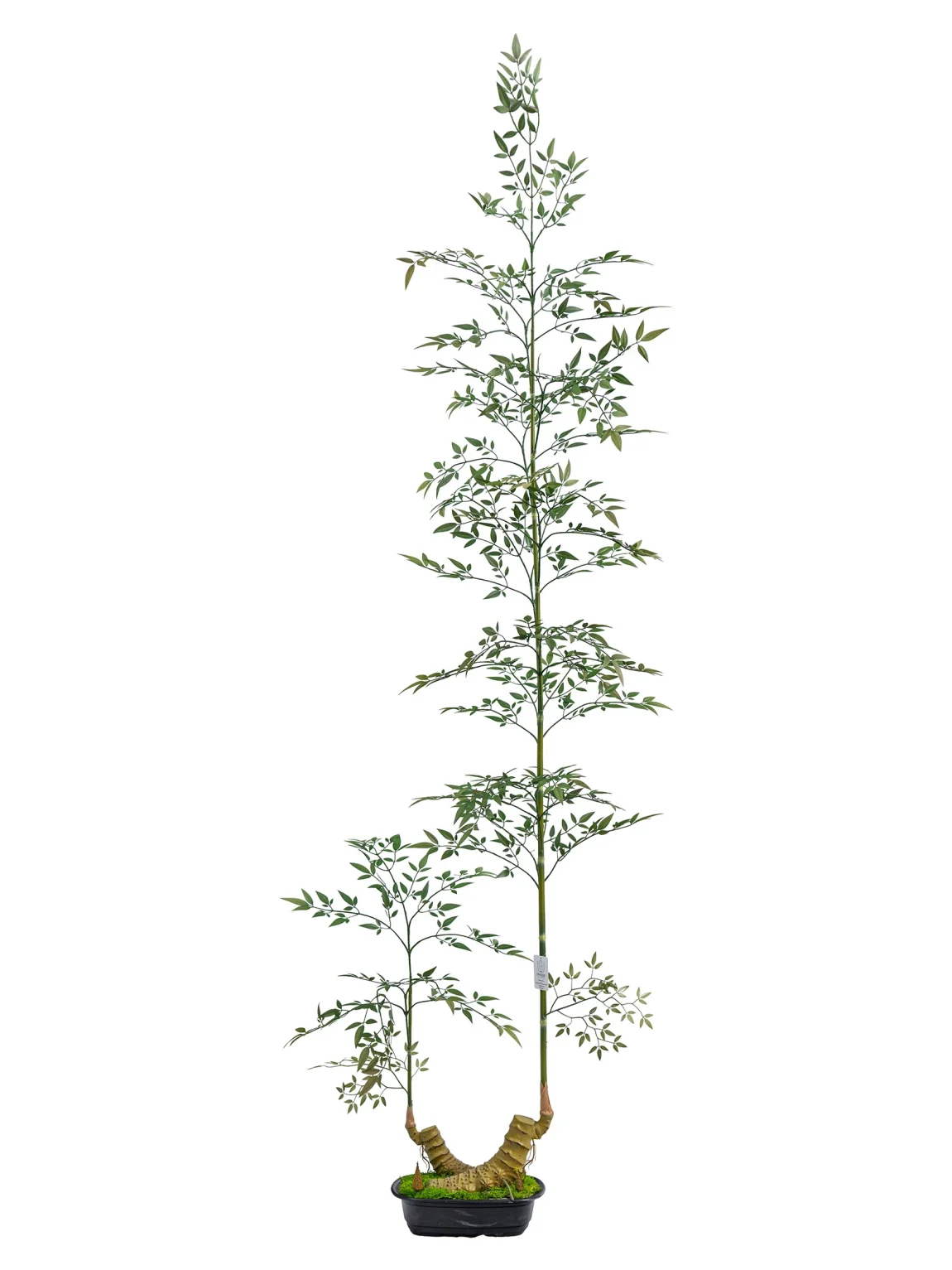 200cm Artificial bambusa flexuosa tree