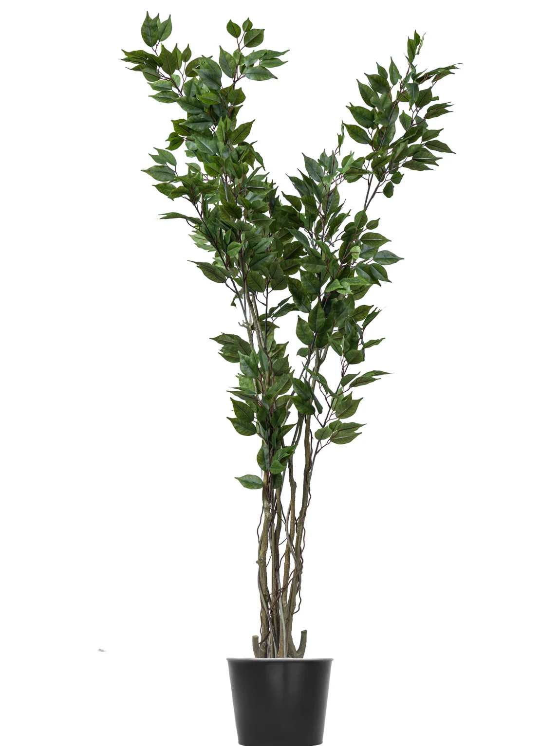 170cm Artificial Ficus Tree #LTRS-058-17005#G