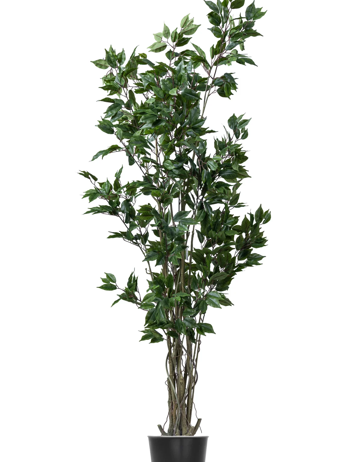190cm Artificial Ficus Tree #LTRS-058-19006#G