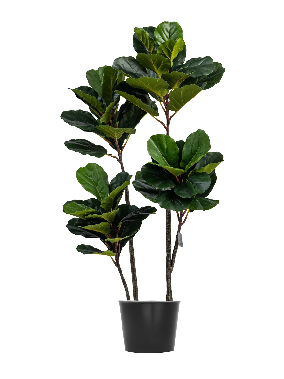 140cm Artificial Fiddle Fig Leaf Tree #QYR-008-14001