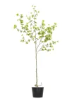 160cm Artificial Chlorophytum Tree #DZS-004-16002
