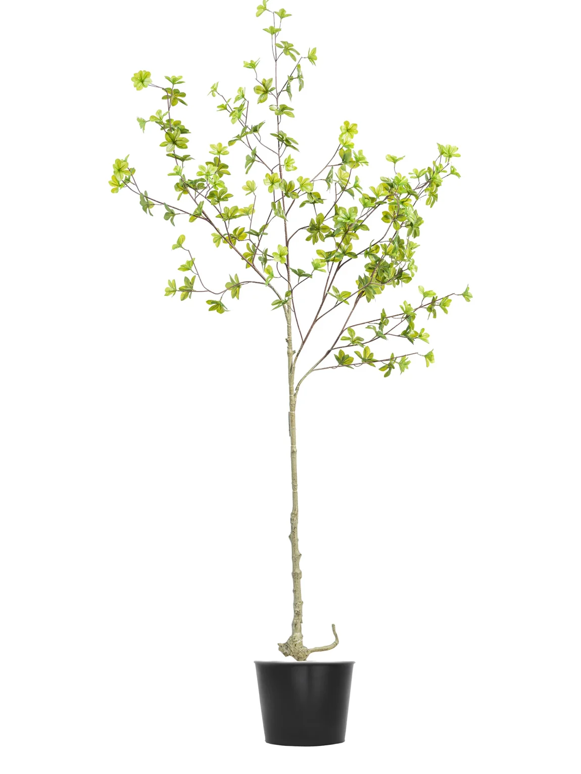 160cm Artificial Chlorophytum Tree #DZS-004-16002