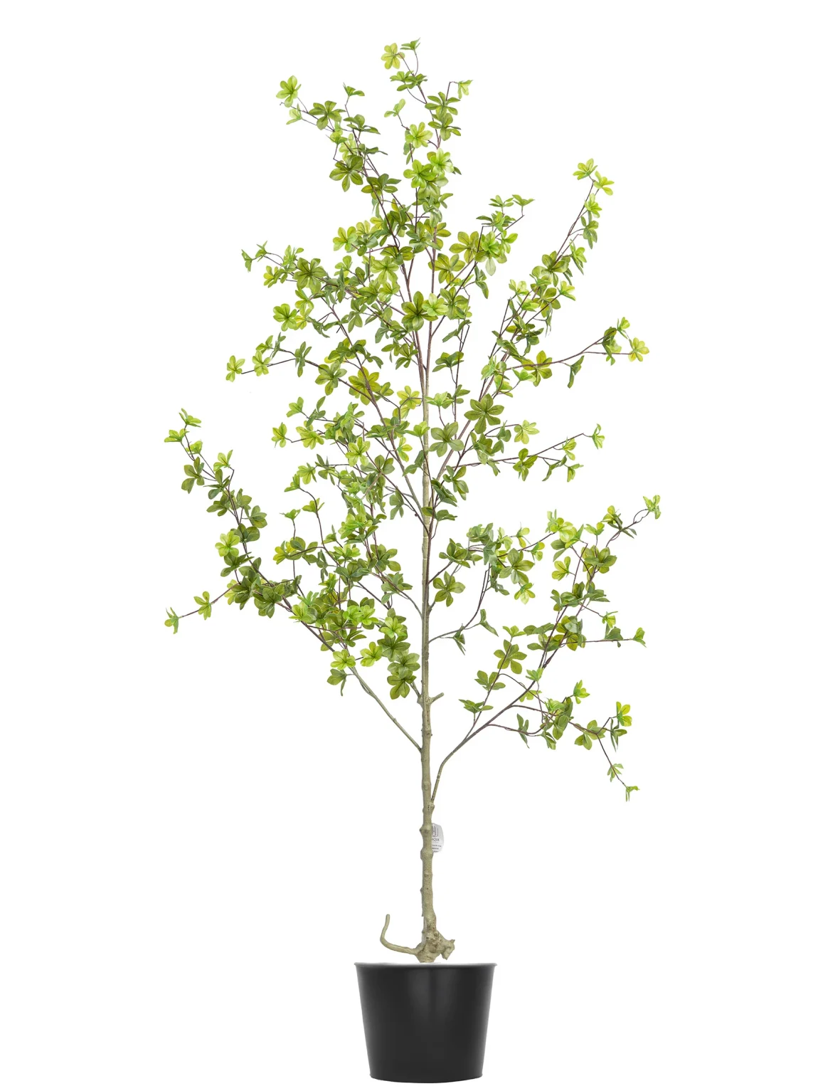180cm Artificial Chlorophytum Tree #DZS-004-18003