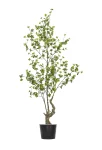 190cm Artificial Chlorophytum Tree #DZS-004-19004