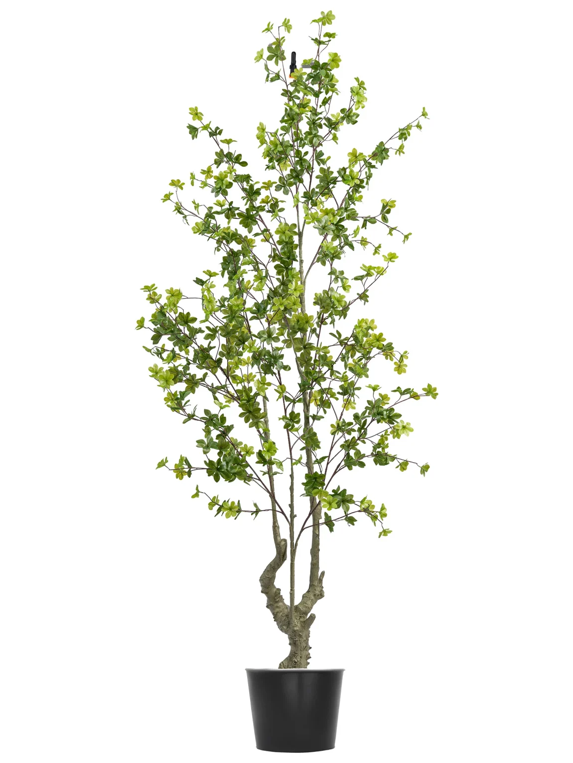 210cm Artificial Chlorophytum Tree #DZS-004-21005