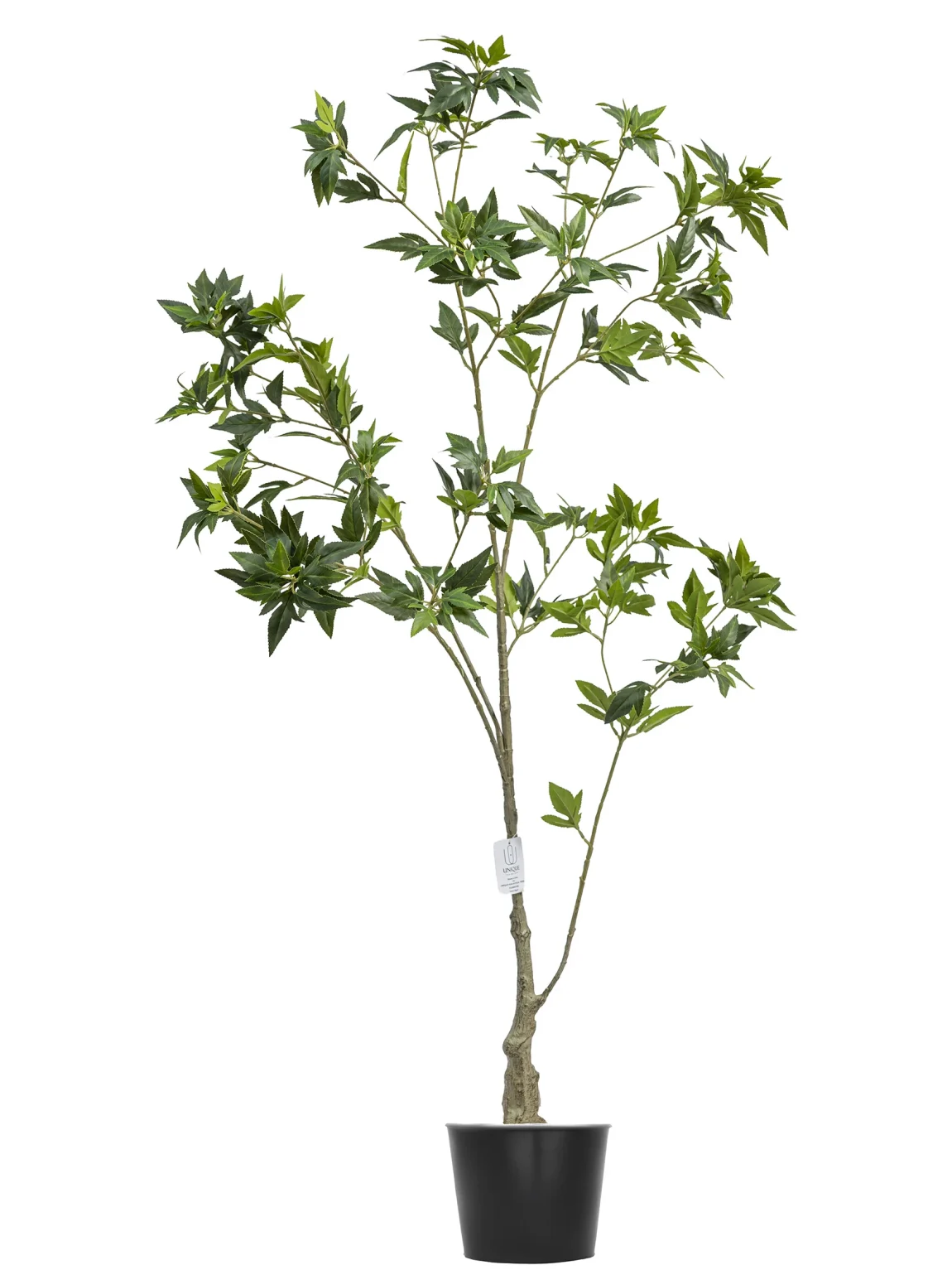 120cm Artificial Pieris Tree #FLS-003-12001