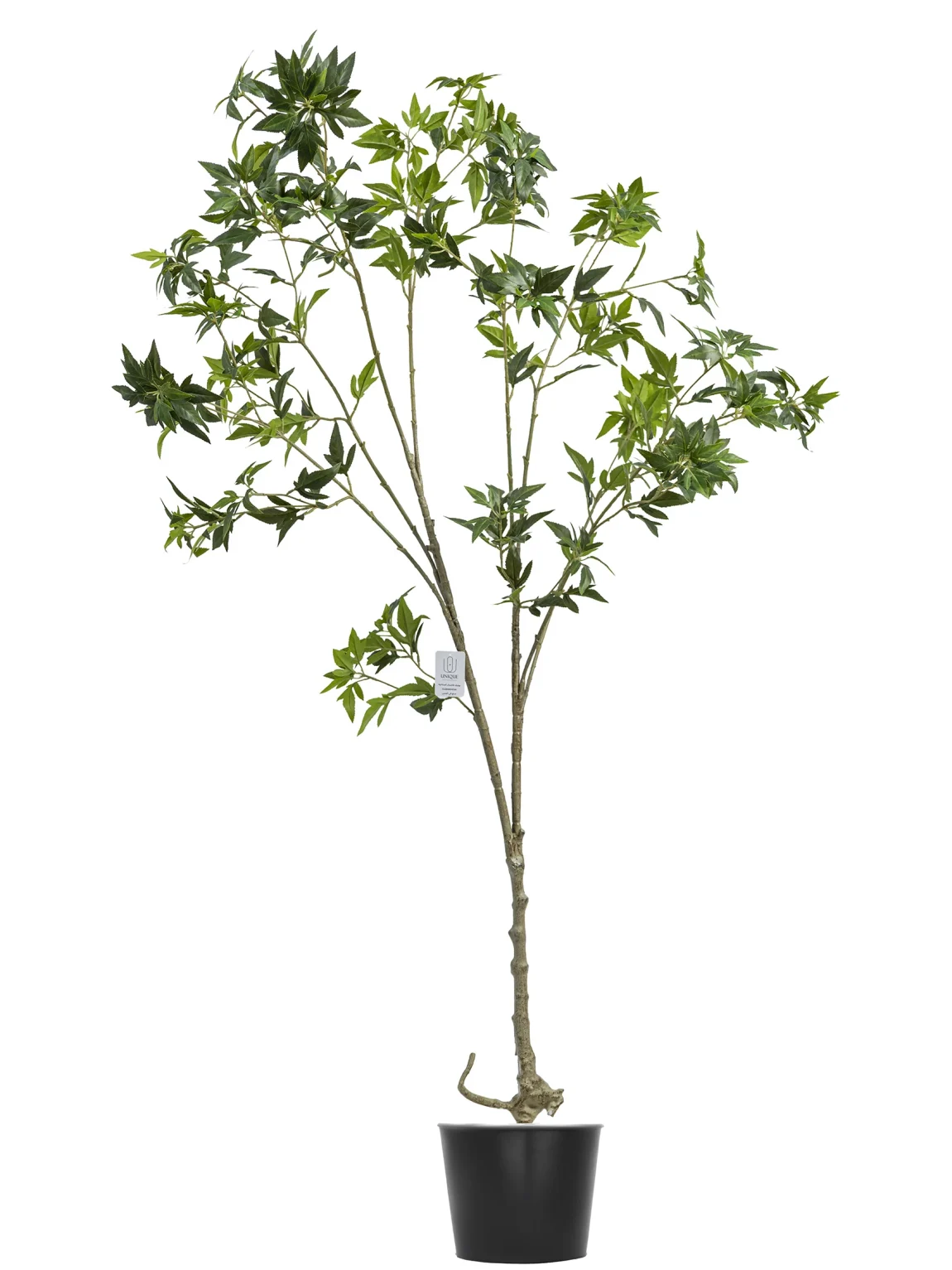 150cm Artificial  Pieris Tree #FLS-003-15002