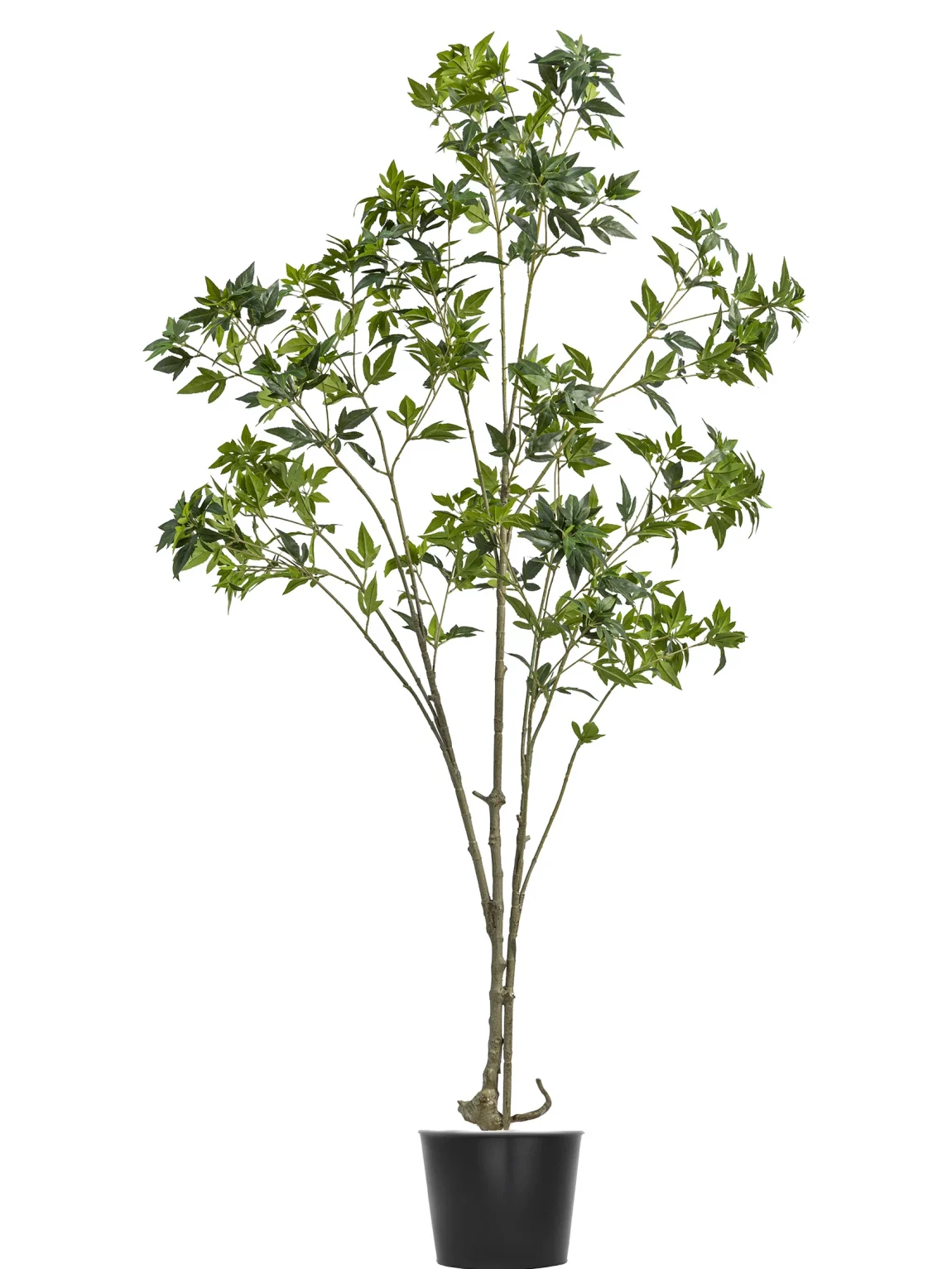 170cm Artificial Pieris Tree #FLS-003-17003