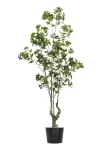 210cm Artificial Pieris Tree #FLS-003-21005