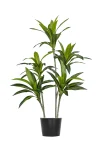 120cm Artificial Agave Tree #BXM-081-12002