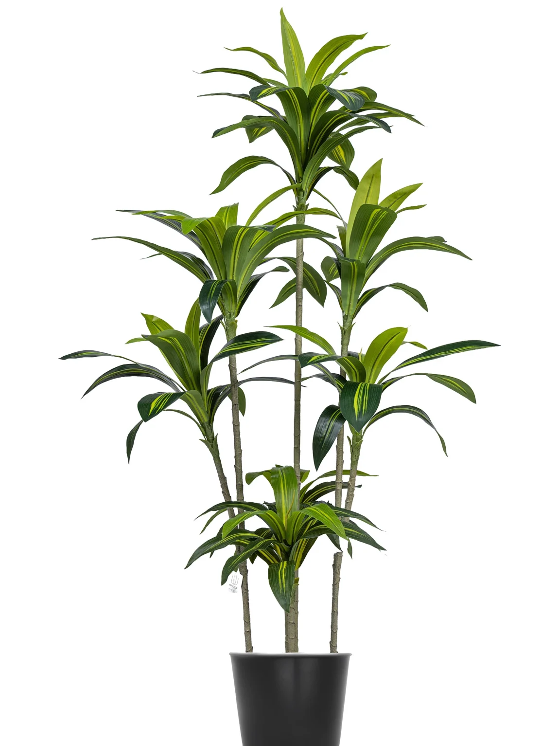 150cm Artificial Agave Tree #BXM-081-15003