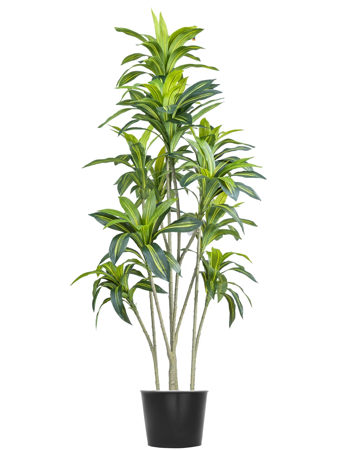 200cm Artificial Agave Tree #BXM-081-20005
