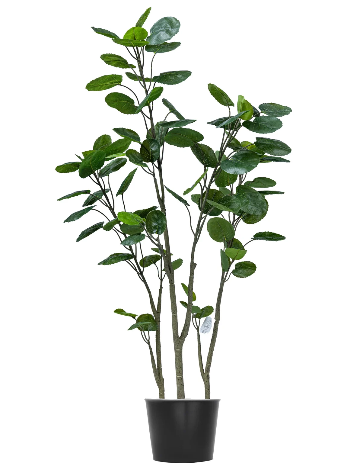 145cm Artificial Money Tree #JQD-001-14005