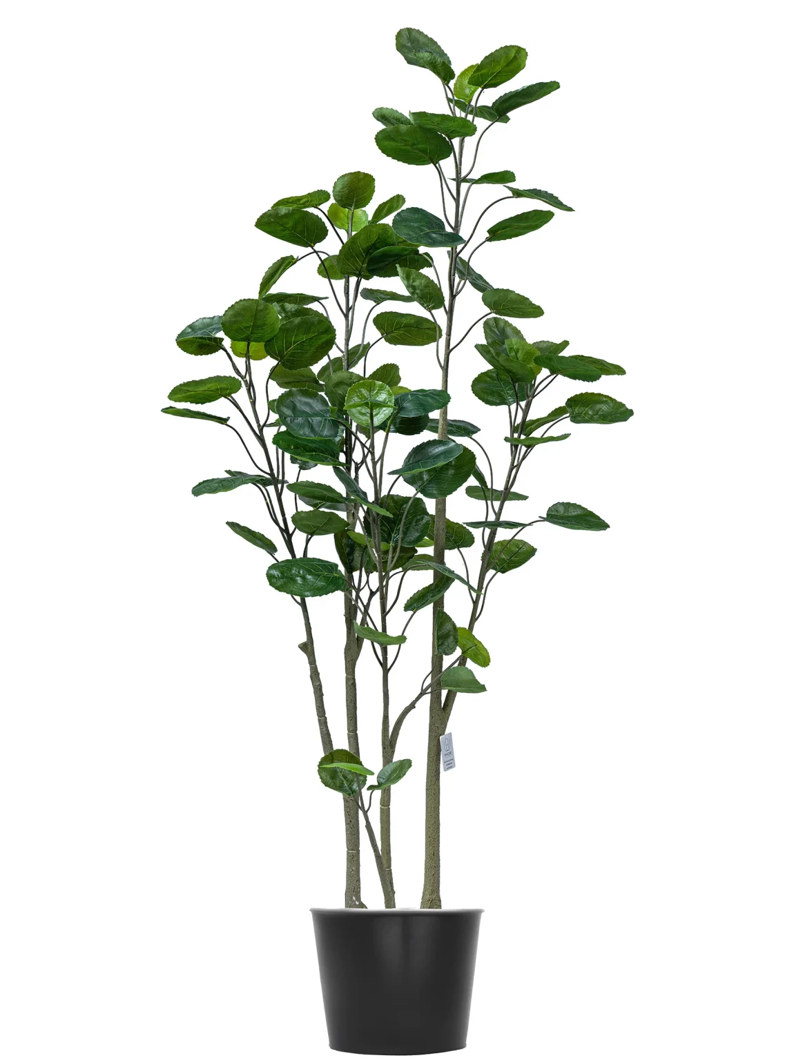 160cm Artificial Money Tree #JQD-001-16002