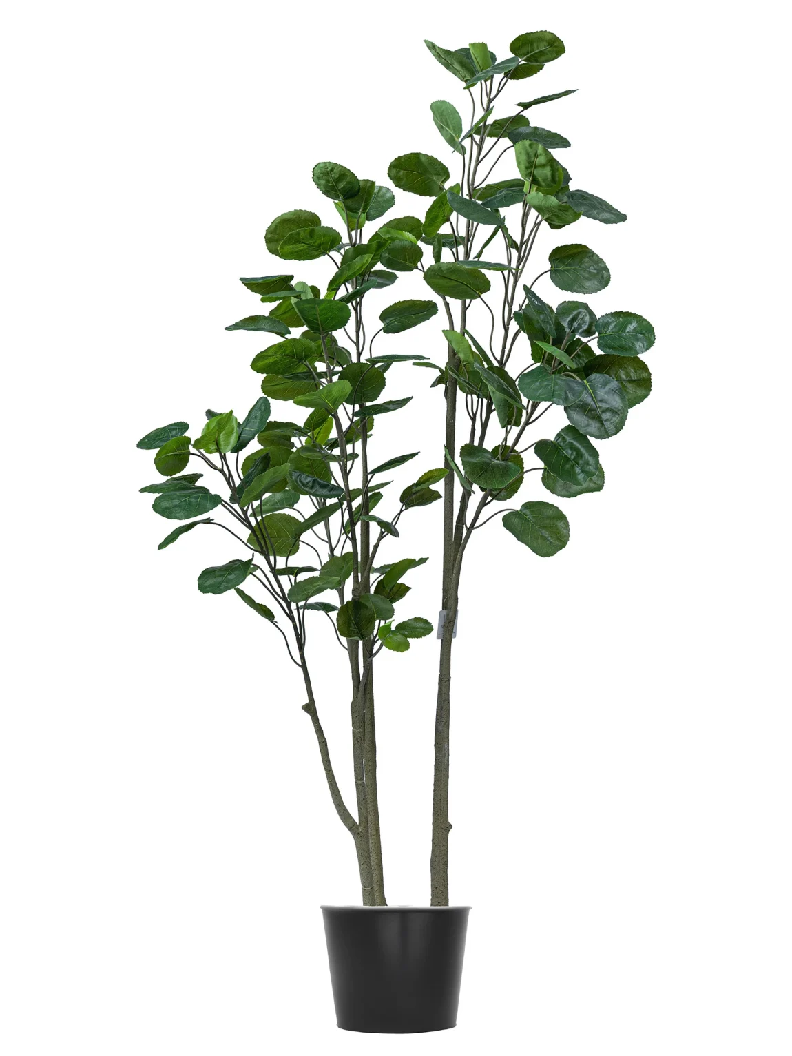 180cm Artificial Money Tree #JQD-001-18003