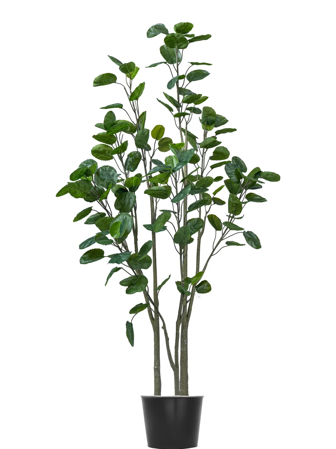 200cm Artificial Money Tree #JQD-001-20004