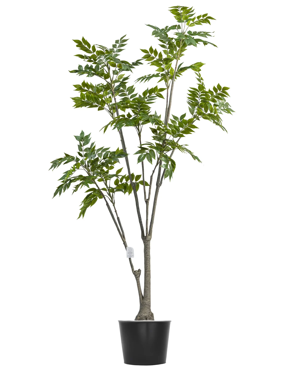 180cm Artificial Lacquer Tree #PUGQMY-054-18003#G