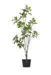 210cm Artificial Lacquer Tree #PUGQMY-054-21004#G