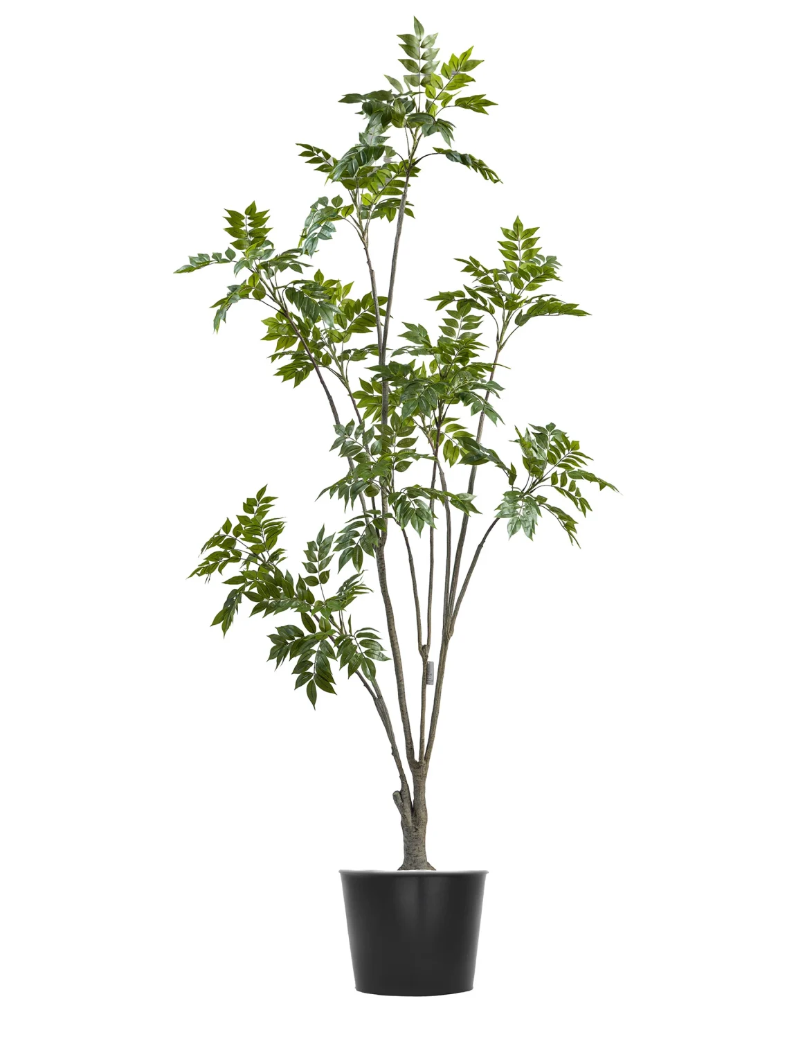 210cm Artificial Lacquer Tree #PUGQMY-054-21004#G