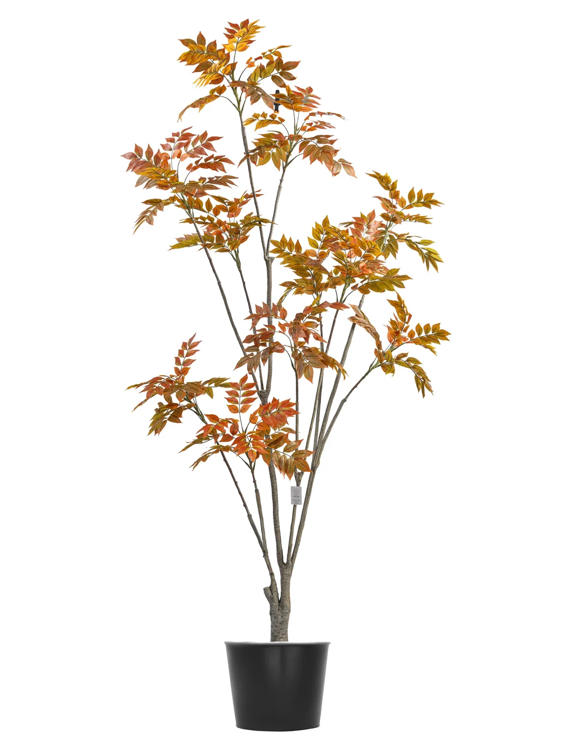 210cm Artificial Lacquer Tree #PUGQMY-055-21004#R