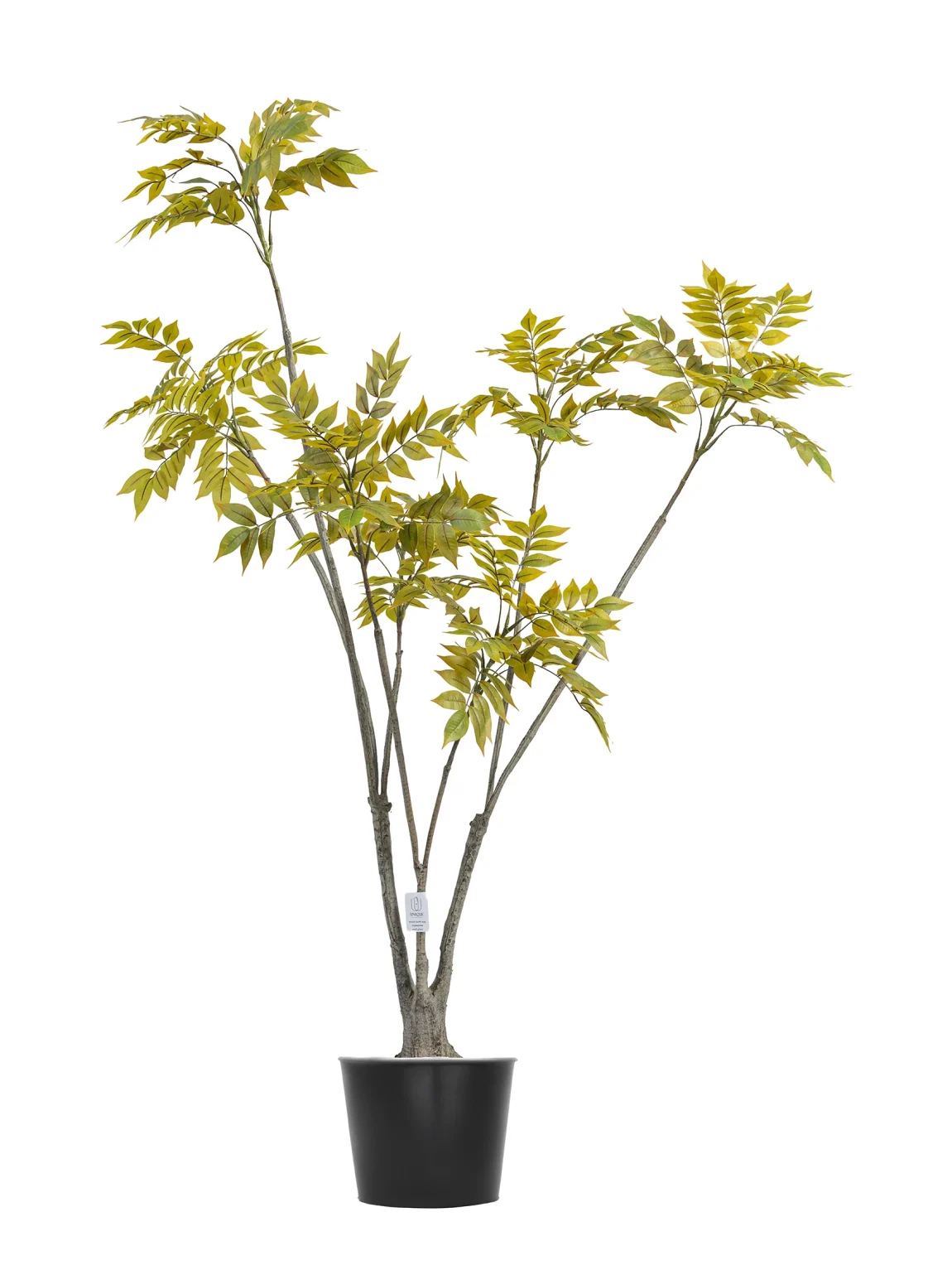 160cm Artificial Lacquer Tree #PUGQMY-056-16002#A