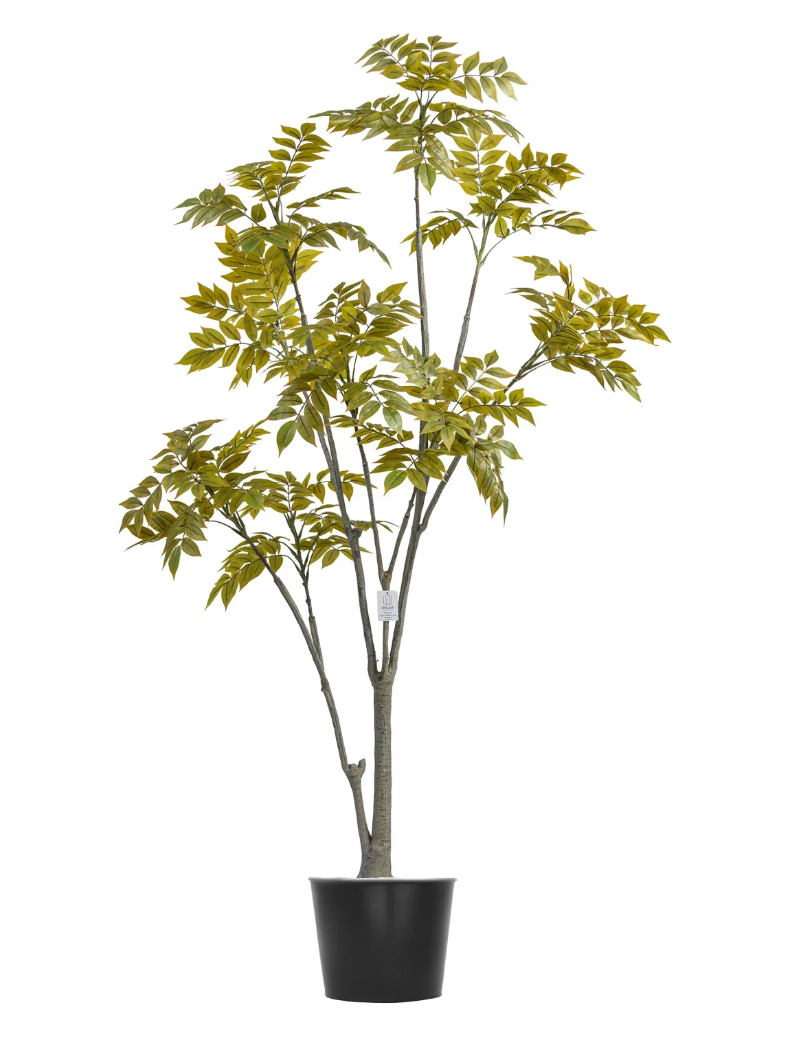 180cm Artificial Lacquer Tree #PUGQMY-056-18003#A