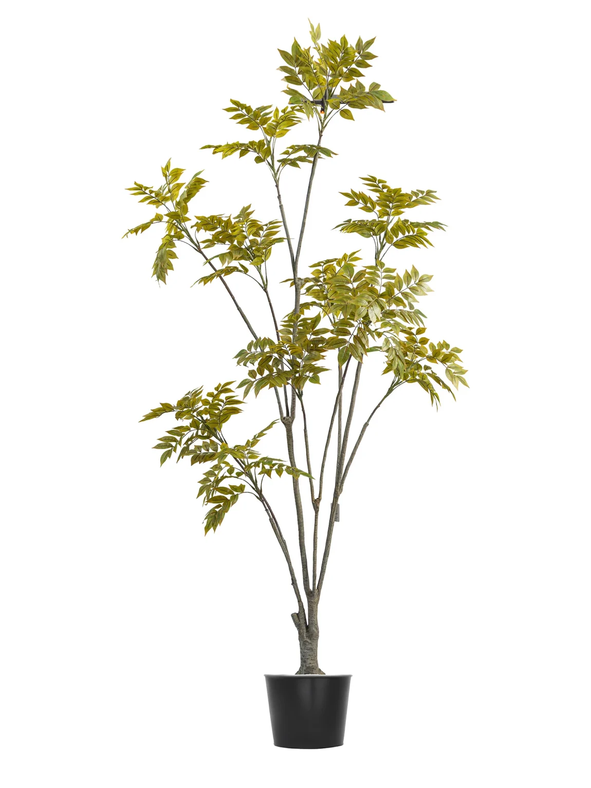 210cm Artificial Lacquer Tree #PUGQMY-056-21004#A
