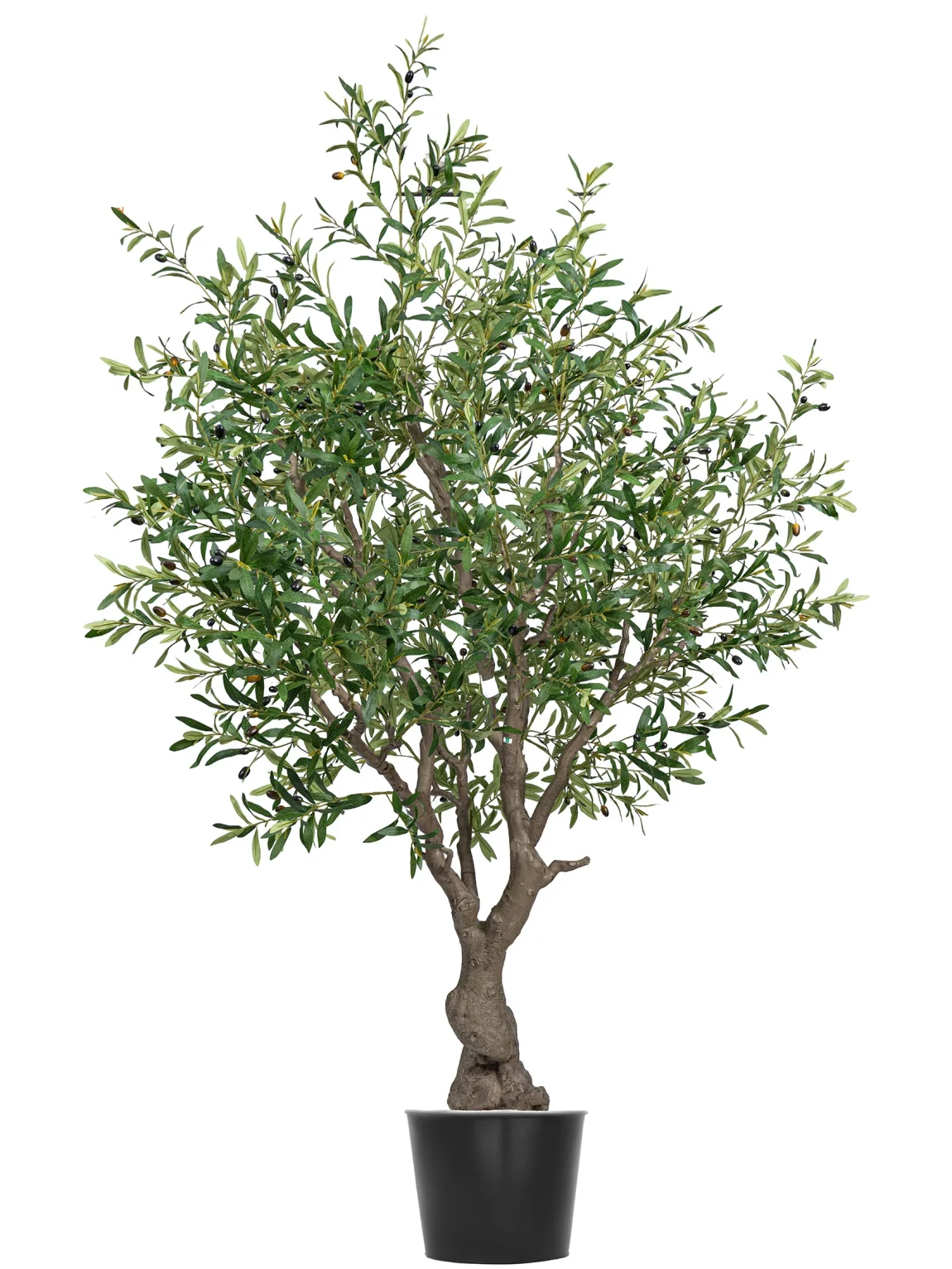 240cm Artificial Olive Tree #DXCZGLS-176-24002