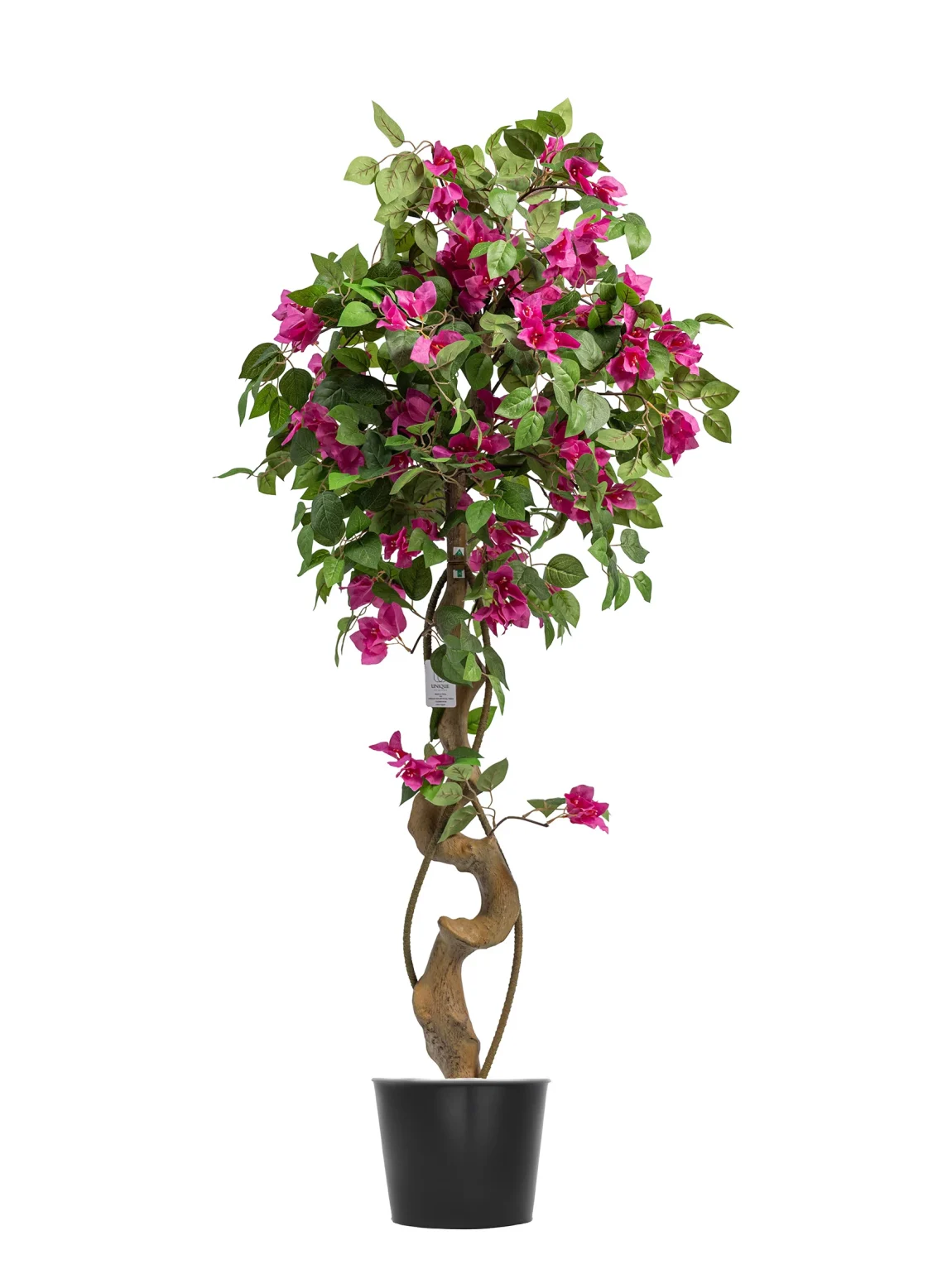 130cm Bougainvillea Tree Apink-  #SJM-138-13001 #A