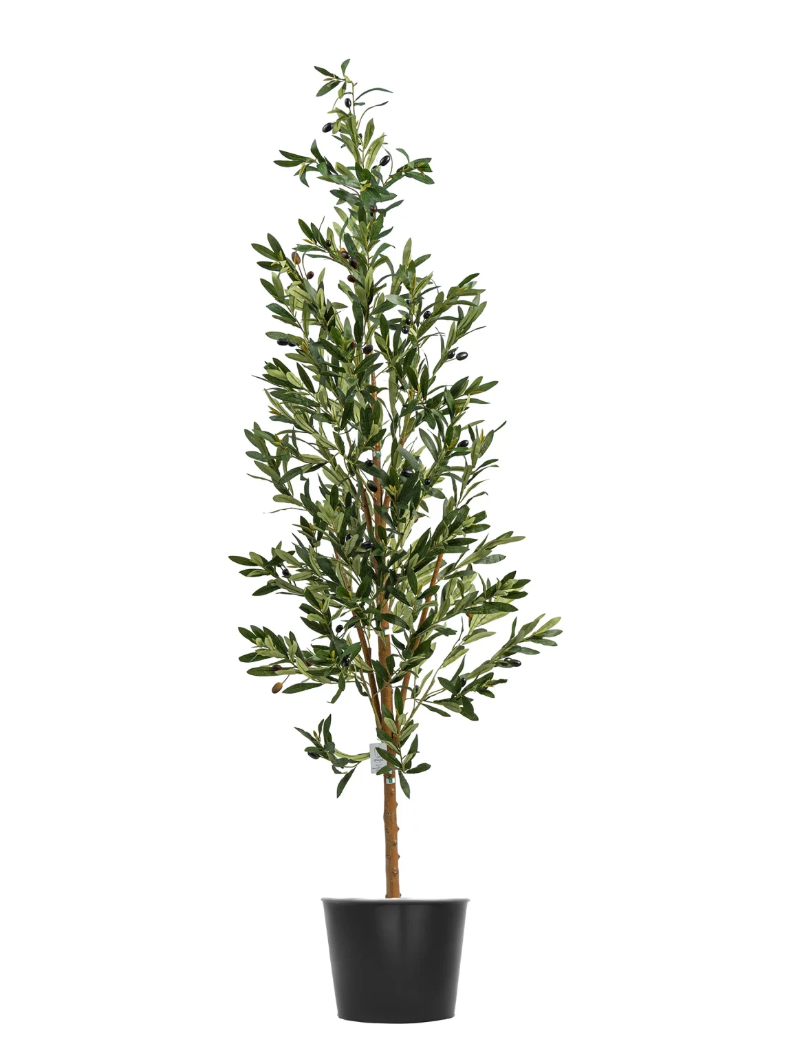 150cm Olive Tree #GLS-002-16001