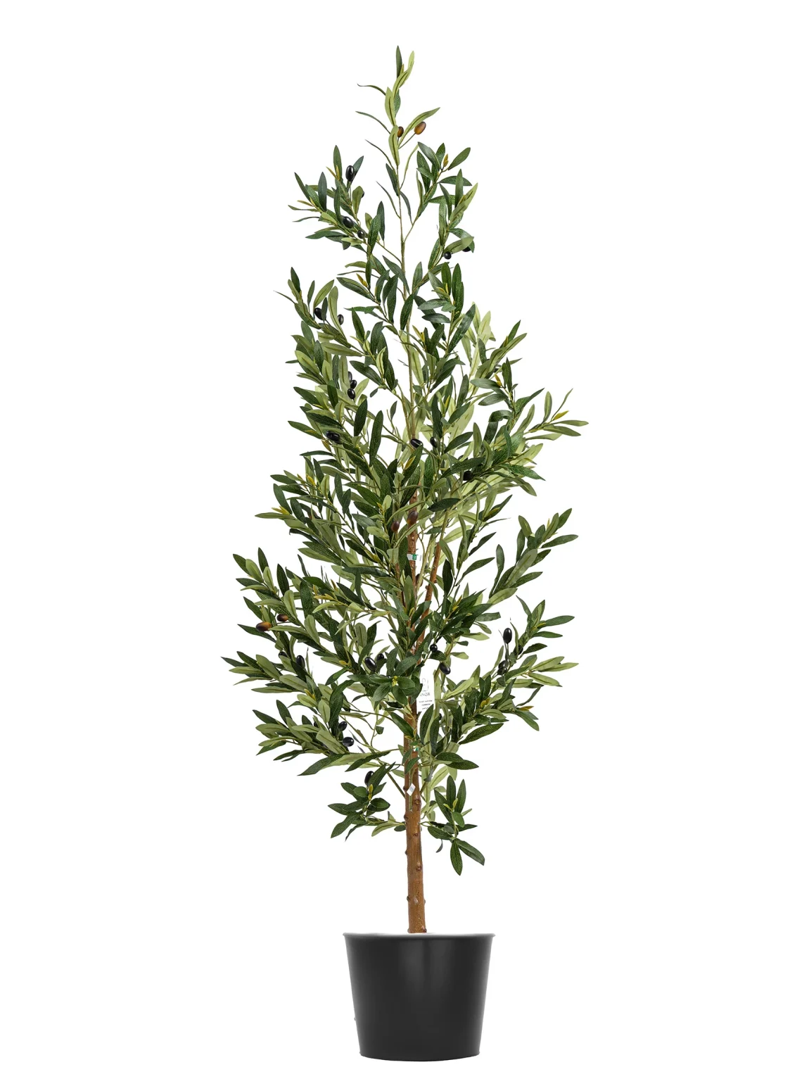 180cm Olive Tree #GLS-002-18002