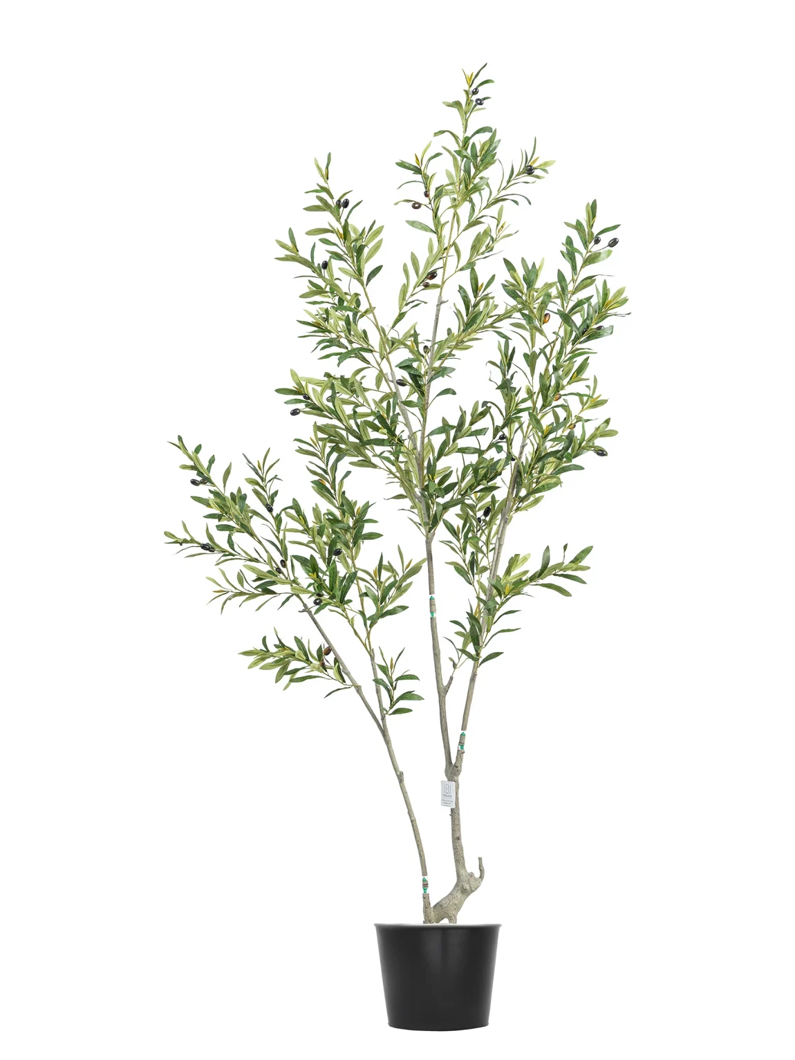 200cm Artificial Olive Tree #GLS-125-20004 #B2