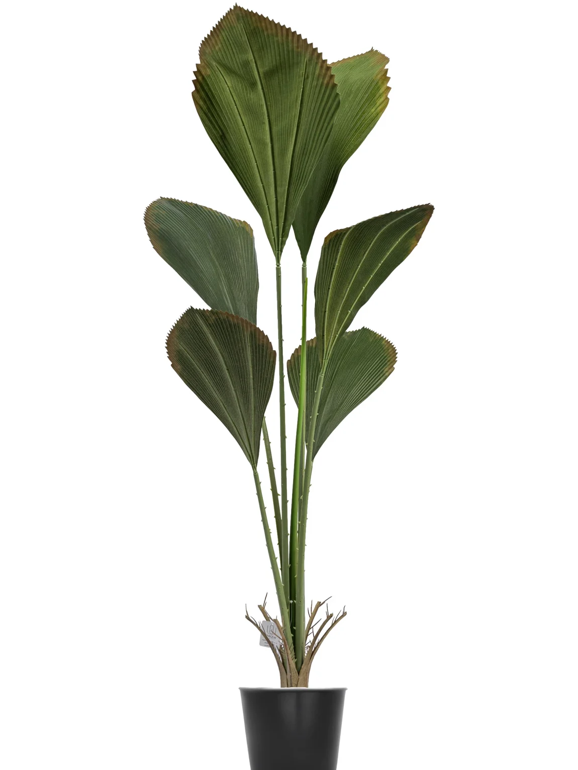 130cm Artificial Fan Palm Tree #SMDLZ-001-13002 #A