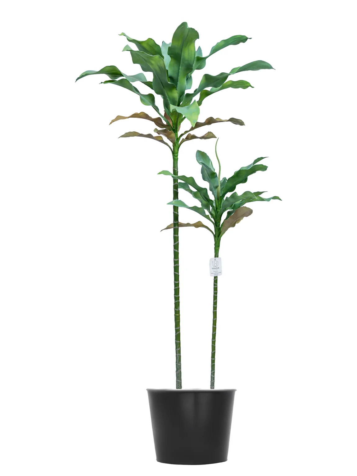 130cm Artificial Agave Tree #LWT-085-13001