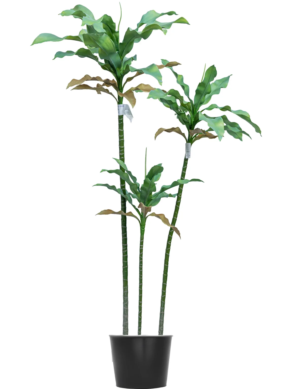 150cm Artificial Agave Tree #LWT-085-15002