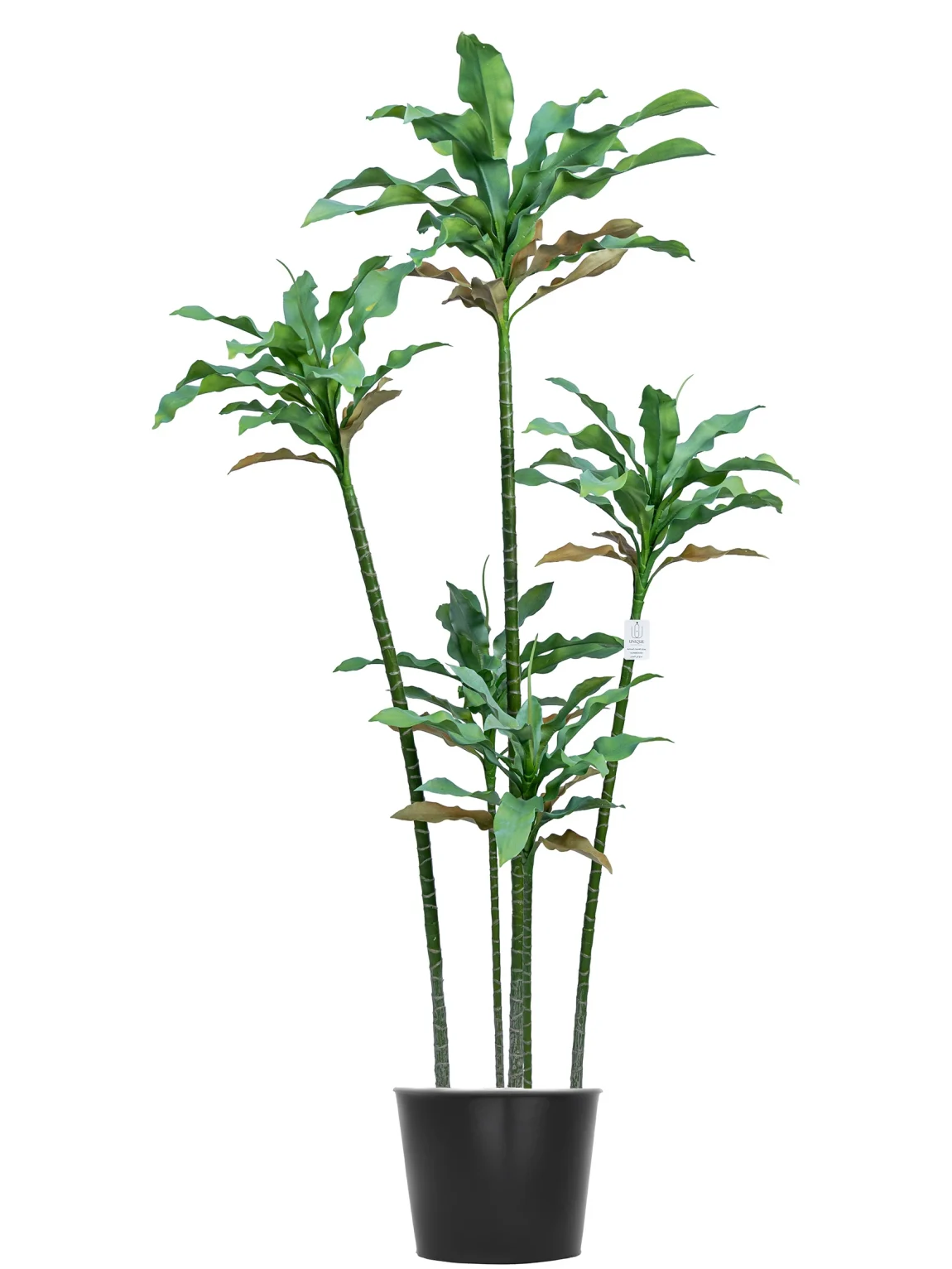 170cm Artificial Agave Tree #LWT-085-17003